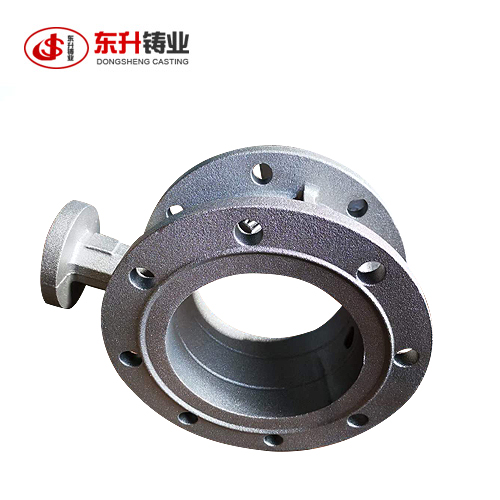Nodular cast iron raft valve body