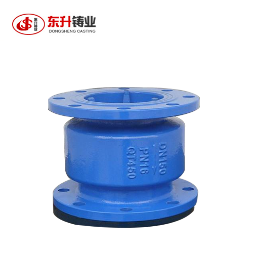 Nodular cast iron raft valve body